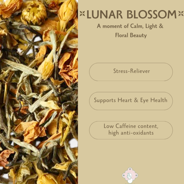 Lunar Blossom: Chrysanthemum, Jasmine, White Tea - Image 4