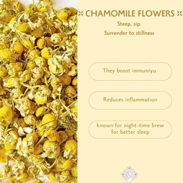Caffeine-free Tisanes & Flowers Sampler Kit - Image 9